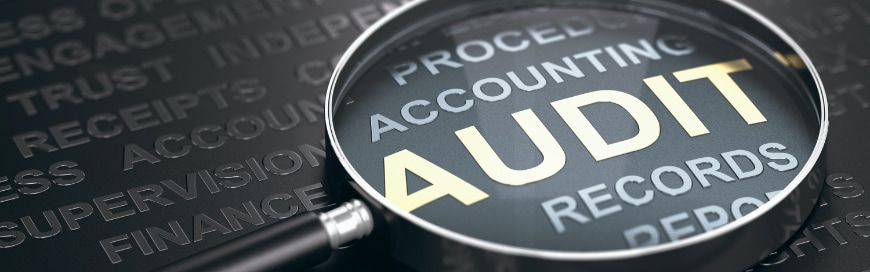 Audit Assessment Webinar: June 29th @ 11am